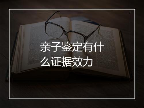 亲子鉴定有什么证据效力