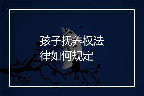 孩子抚养权法律如何规定