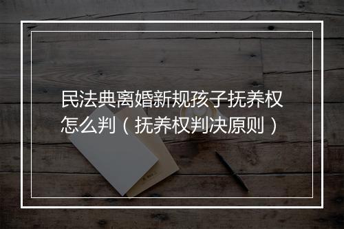 民法典离婚新规孩子抚养权怎么判（抚养权判决原则）