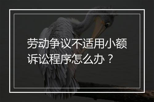 劳动争议不适用小额诉讼程序怎么办？
