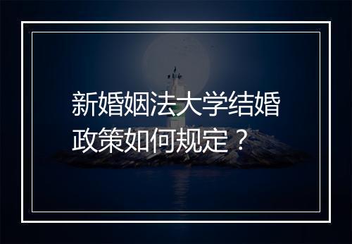 新婚姻法大学结婚政策如何规定？
