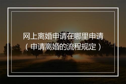 网上离婚申请在哪里申请（申请离婚的流程规定）