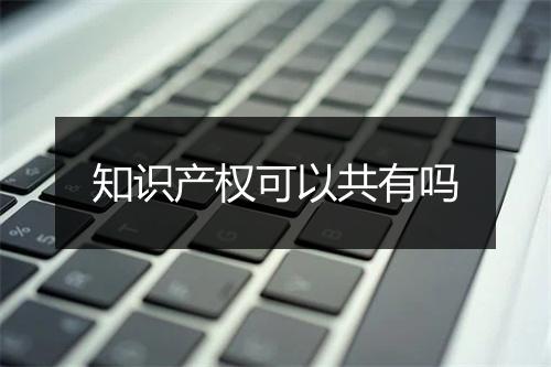 知识产权可以共有吗