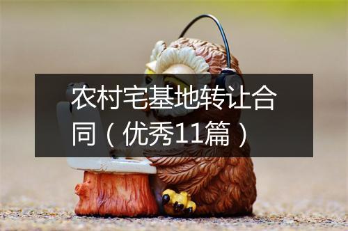 农村宅基地转让合同（优秀11篇）