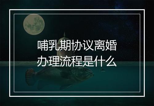 哺乳期协议离婚办理流程是什么