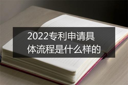 2022专利申请具体流程是什么样的