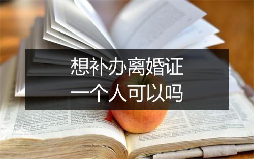 想补办离婚证一个人可以吗