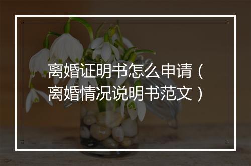离婚证明书怎么申请（离婚情况说明书范文）
