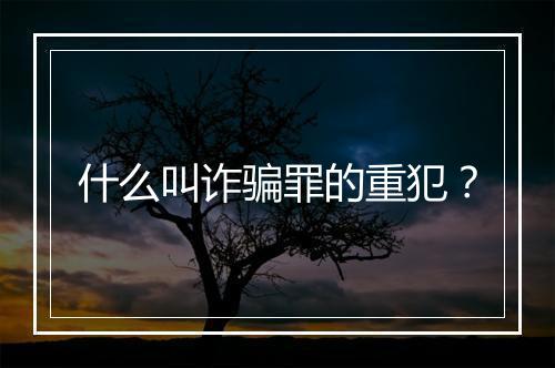 什么叫诈骗罪的重犯？