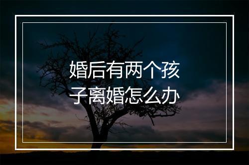 婚后有两个孩子离婚怎么办
