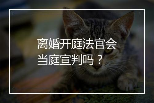 离婚开庭法官会当庭宣判吗？