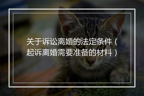 关于诉讼离婚的法定条件（起诉离婚需要准备的材料）