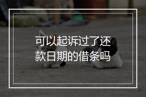 可以起诉过了还款日期的借条吗