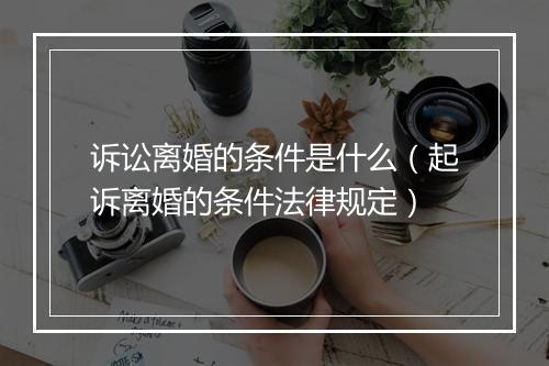 诉讼离婚的条件是什么（起诉离婚的条件法律规定）