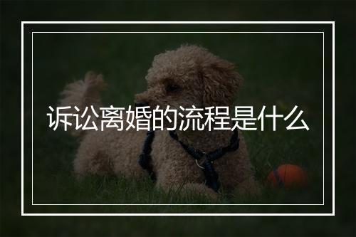 诉讼离婚的流程是什么