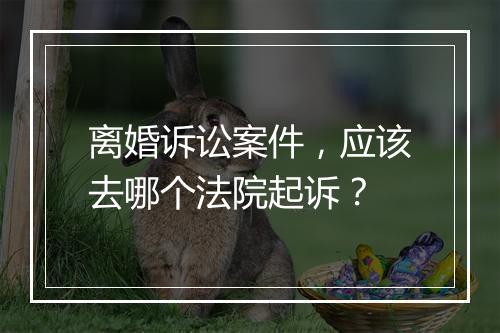 离婚诉讼案件，应该去哪个法院起诉？