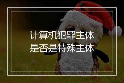 计算机犯罪主体是否是特殊主体
