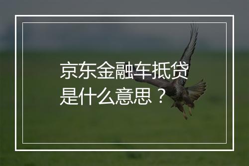 京东金融车抵贷是什么意思？
