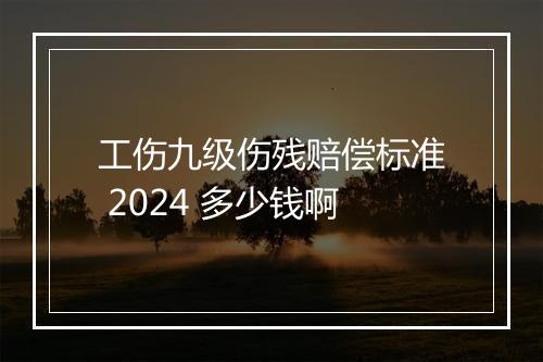 工伤九级伤残赔偿标准 2024 多少钱啊