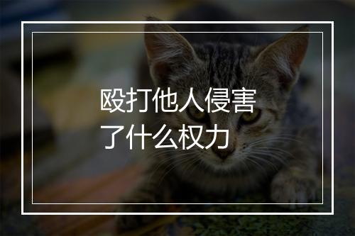 殴打他人侵害了什么权力