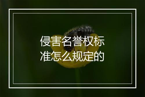 侵害名誉权标准怎么规定的