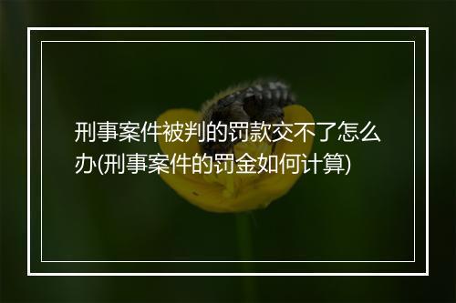 刑事案件被判的罚款交不了怎么办(刑事案件的罚金如何计算)