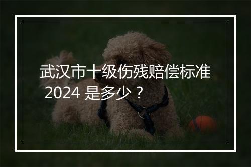 武汉市十级伤残赔偿标准 2024 是多少？