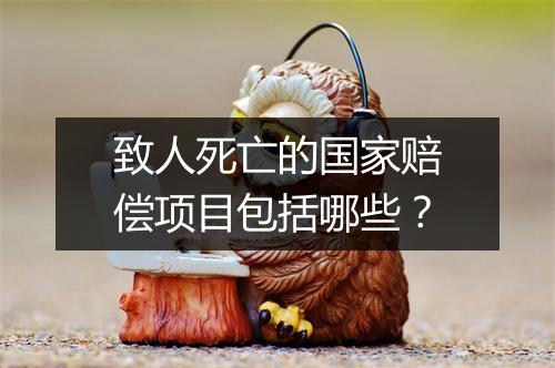 致人死亡的国家赔偿项目包括哪些？