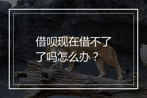 借呗现在借不了了吗怎么办？