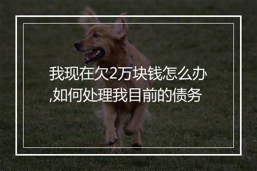 我现在欠2万块钱怎么办,如何处理我目前的债务