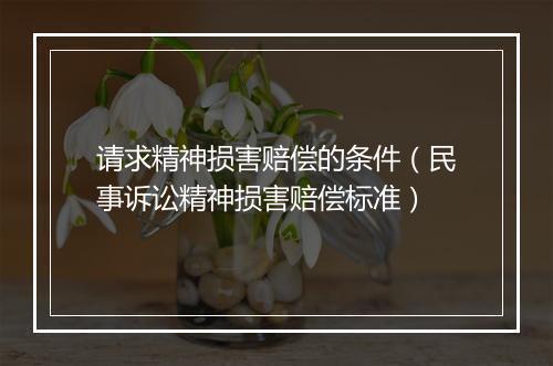 请求精神损害赔偿的条件（民事诉讼精神损害赔偿标准）