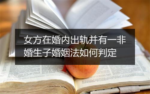 女方在婚内出轨并有一非婚生子婚姻法如何判定