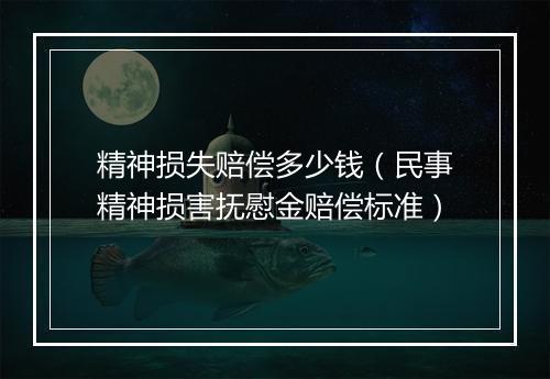 精神损失赔偿多少钱（民事精神损害抚慰金赔偿标准）