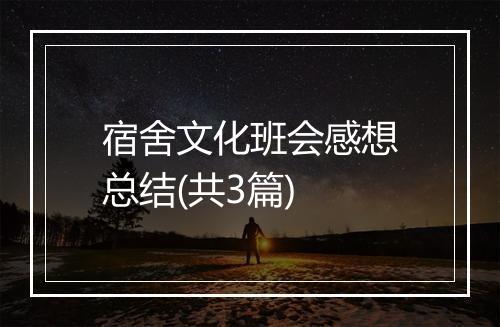 宿舍文化班会感想总结(共3篇)