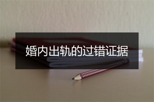 婚内出轨的过错证据