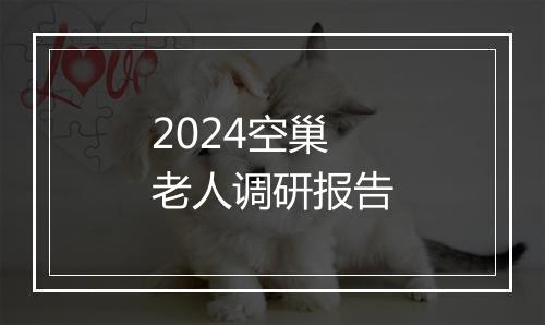 2024空巢老人调研报告