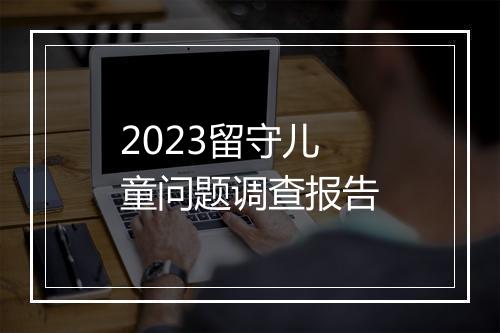 2023留守儿童问题调查报告