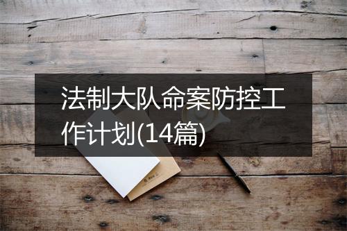 法制大队命案防控工作计划(14篇)