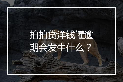 拍拍贷洋钱罐逾期会发生什么？