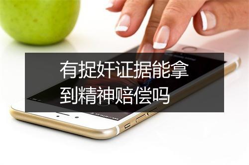 有捉奸证据能拿到精神赔偿吗