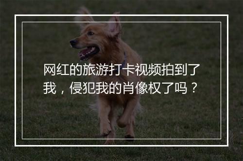网红的旅游打卡视频拍到了我，侵犯我的肖像权了吗？
