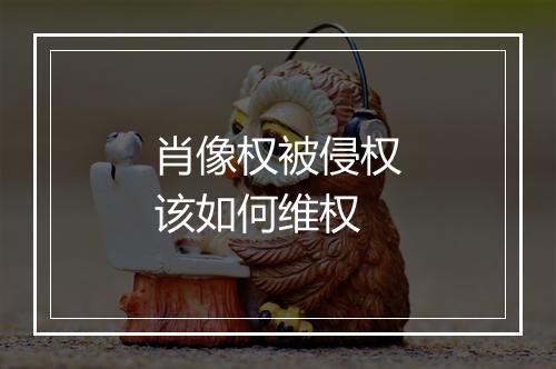 肖像权被侵权该如何维权