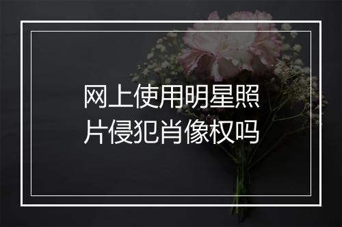 网上使用明星照片侵犯肖像权吗
