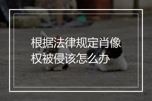 根据法律规定肖像权被侵该怎么办