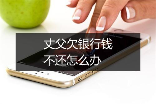丈父欠银行钱不还怎么办