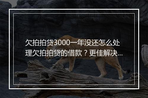 欠拍拍贷3000一年没还怎么处理欠拍拍贷的借款？更佳解决方案详解