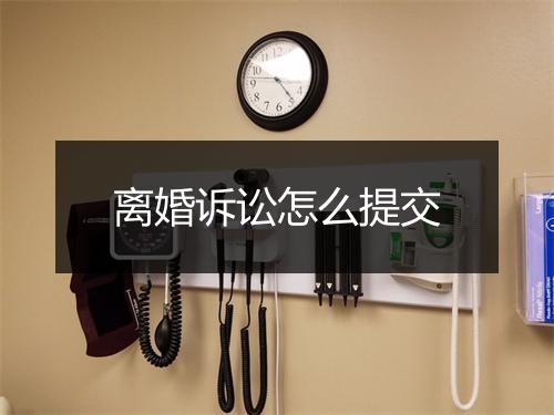 离婚诉讼怎么提交