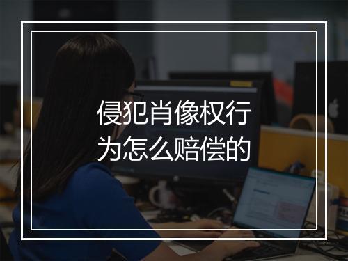 侵犯肖像权行为怎么赔偿的