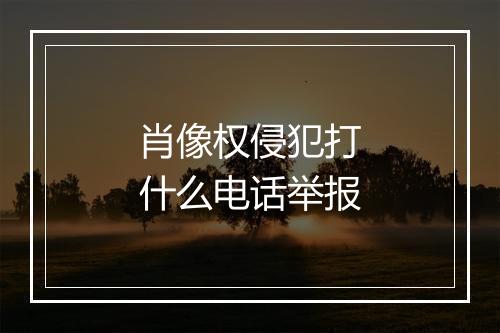 肖像权侵犯打什么电话举报