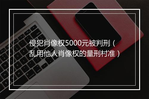 侵犯肖像权5000元被判刑（乱用他人肖像权的量刑村准）